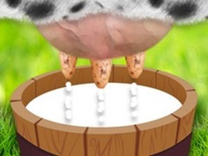 Milk The Cow Online Arcade Game
