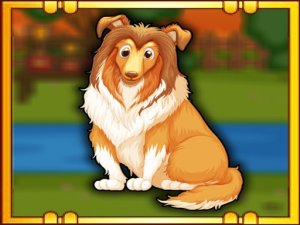 Bernese Mountain Dog Escape Online Puzzle Game - Point and Click Puzzle Game