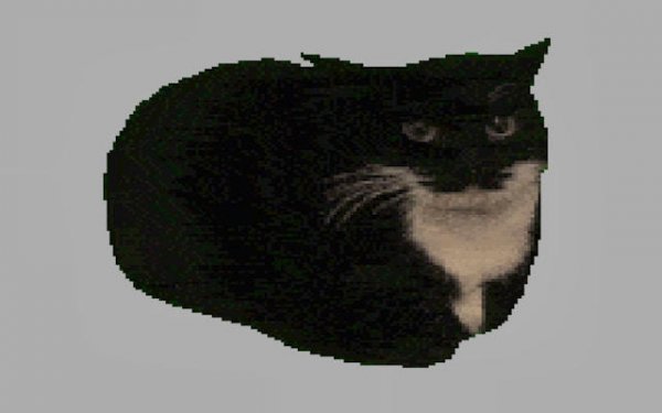 Spinning Cat Clicker Online Game
