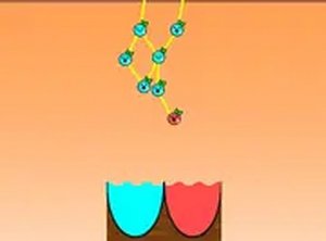Colorful Fruit Sorting Challenge